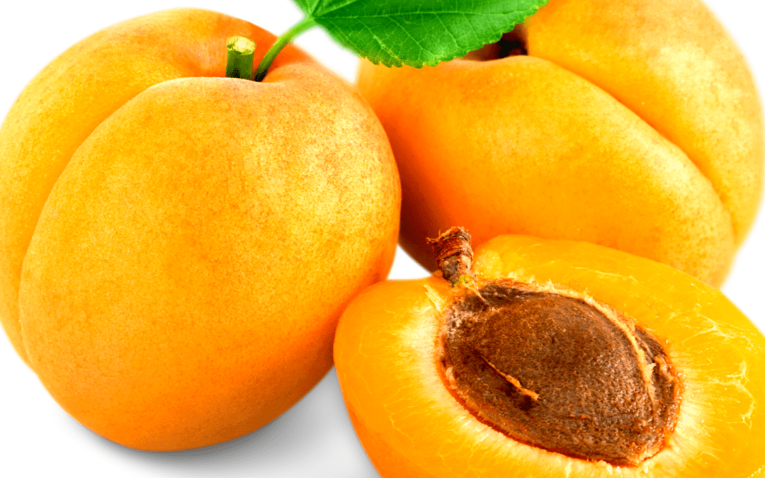 Loving Apricot Kernel Oil