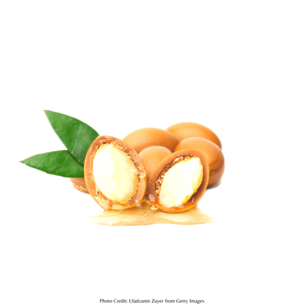 Argan-An Ancient Oil for Skin and Hair